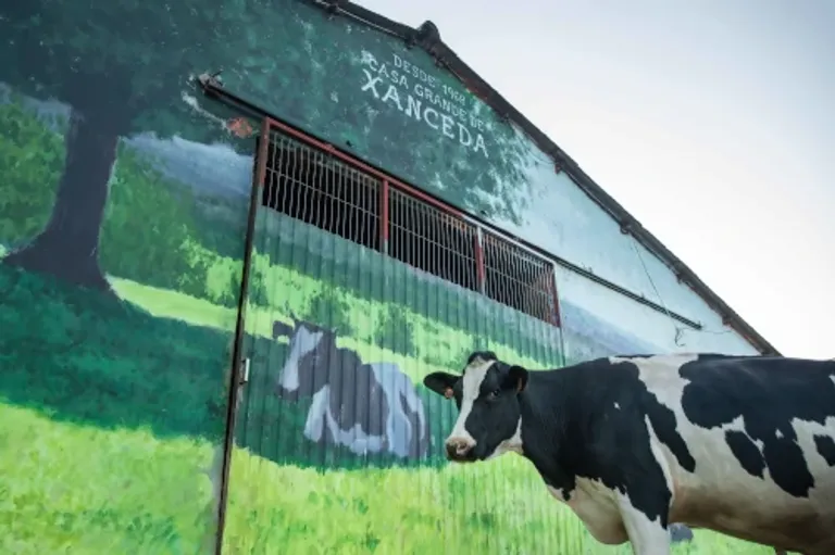 Casa Grande de Xanceda background